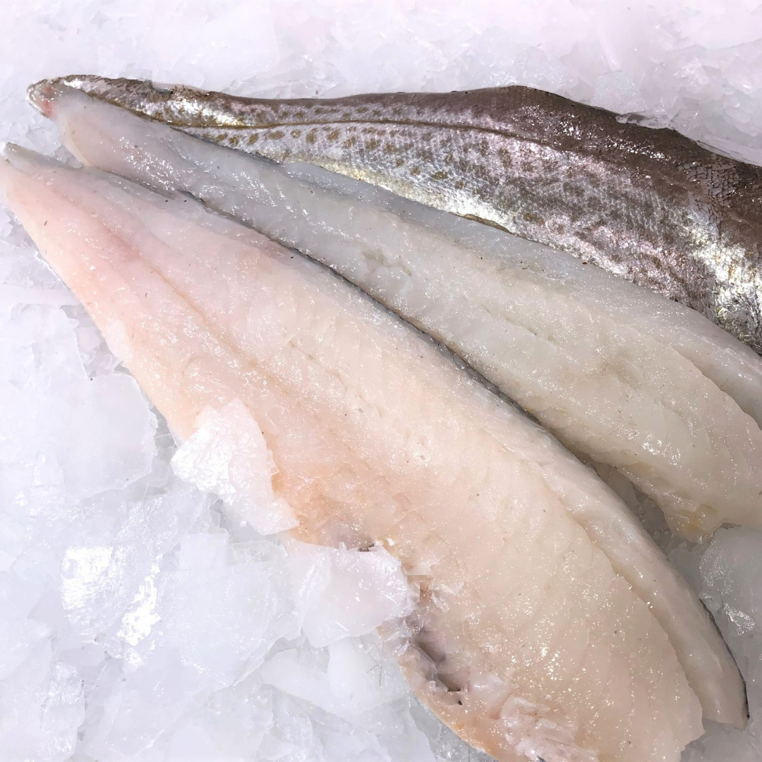 Whiting Fillet