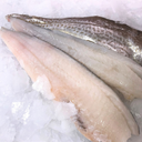 Whiting Fillet